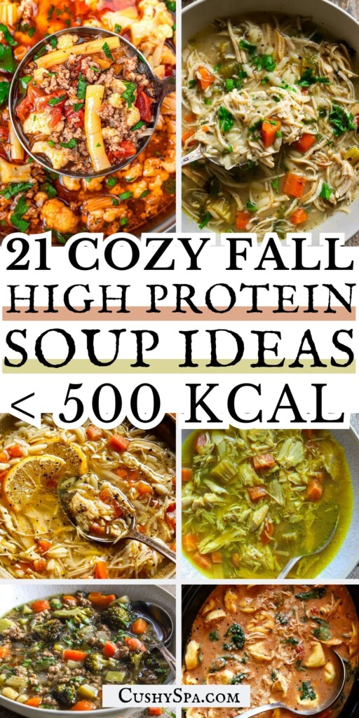 21 Fall High Protein Soup Ideas Under 500 Kcal