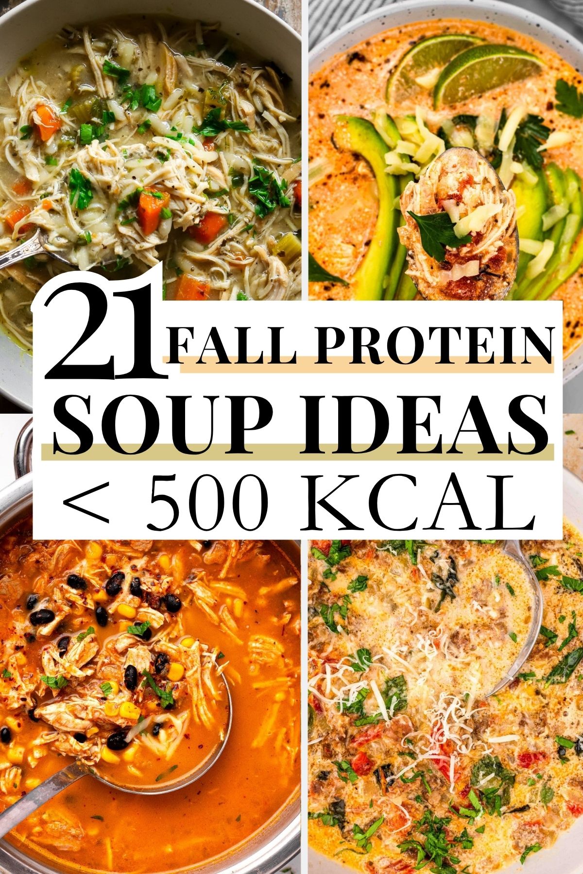21 Fall High Protein Soup Ideas Under 500 Kcal