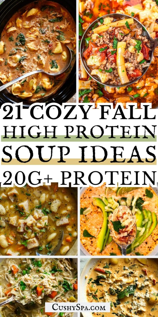 21 Fall High Protein Soup Ideas with 20G+ Protein