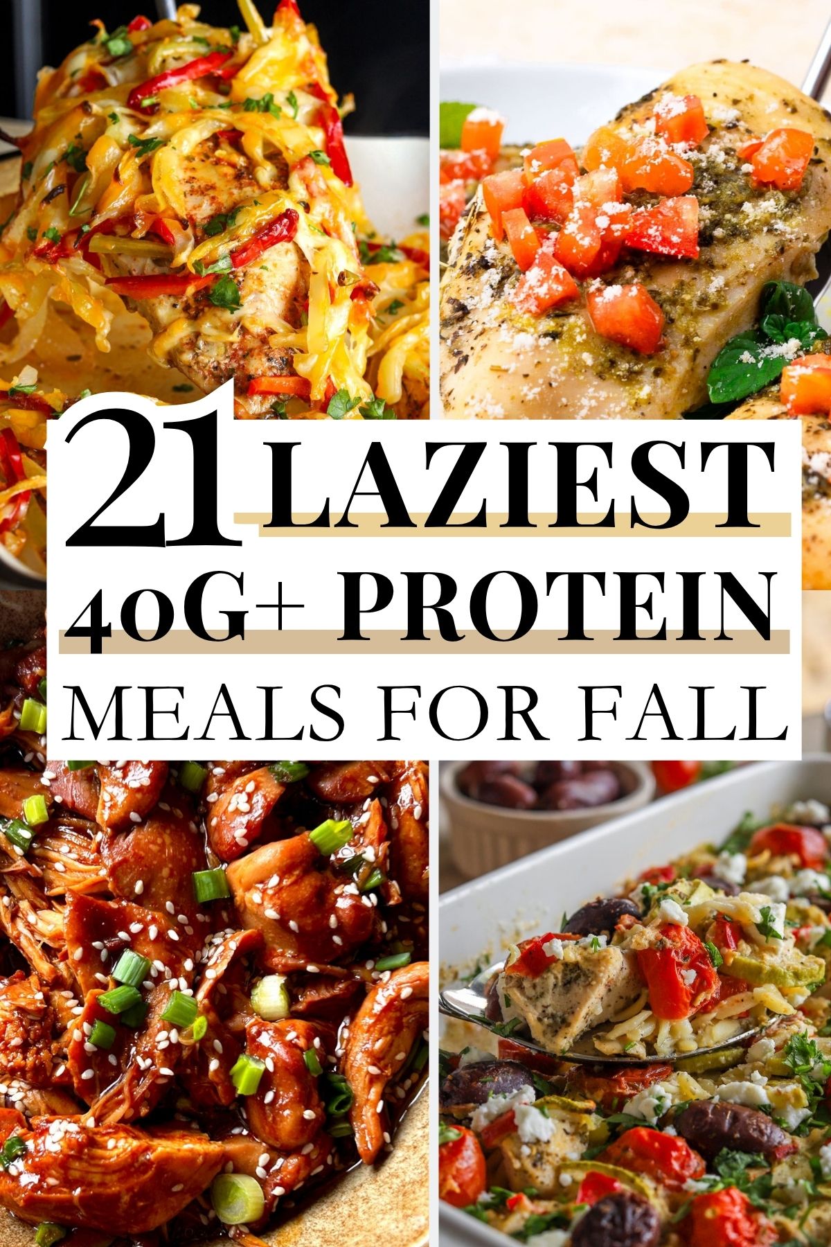 21 Lazy Fall High Protein Meals with 40G+ Protein