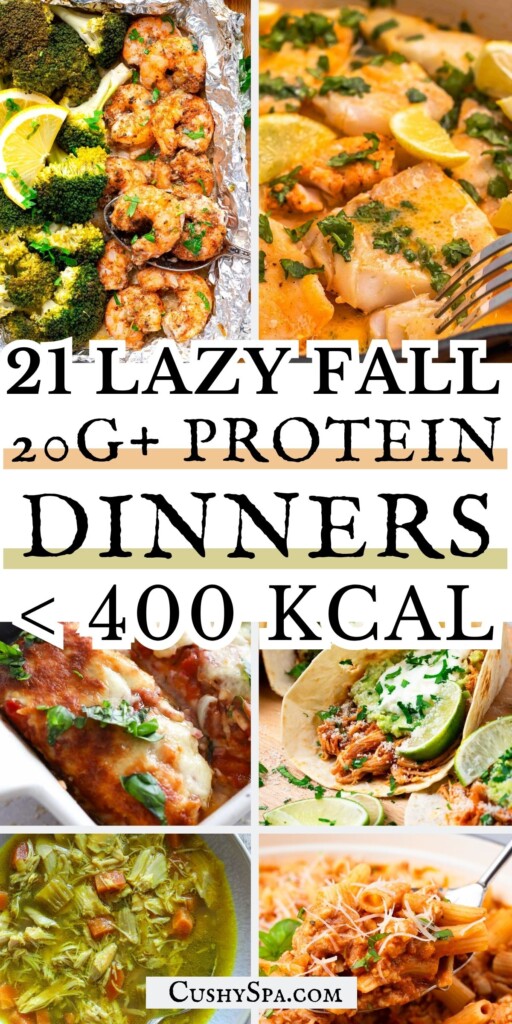 21 Lazy Fall Protein Dinners 20G+ Protein Under 400 Kcal