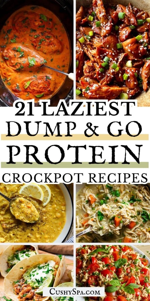 21 Lazy Girl Dump and Go High Protein Crockpot Recipes