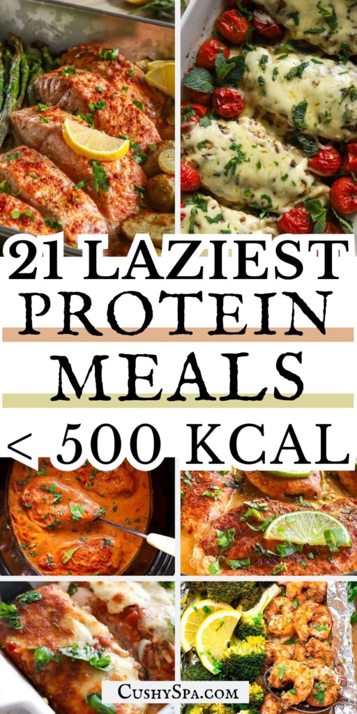 21 Lazy Girl High Protein Meals Under 500 Kcal